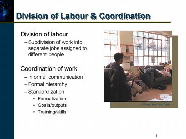 Division of Labour