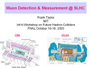 Muon Detection