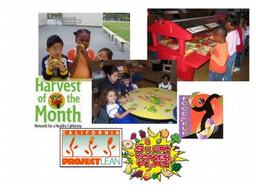 Food and Beverage Industry