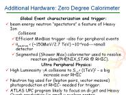 Additional Hardware: Zero Degree Calorimeter