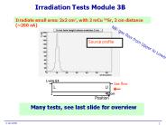 Irradiation Tests Module 3B