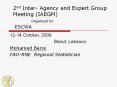 2nd Inter- Agency and Expert Group Meeting (IAEGM)      Organized by: ESCWA PowerPoint PPT Presentation
