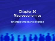 Chapter 20 Macroeconomics