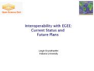 Interoperability with EGEE: Current Status and Future Plans