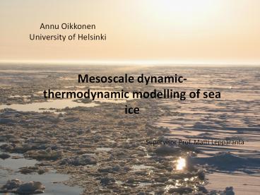 Annu Oikkonen University of Helsinki