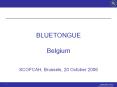 BLUETONGUE%20Belgium%20%20SCOFCAH,%20Brussels,%2020%20October%202006 PowerPoint PPT Presentation