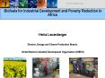 Biofuels for Industrial Development and Poverty Reduction in Africa PowerPoint PPT Presentation