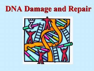 DNA Damage and Repair