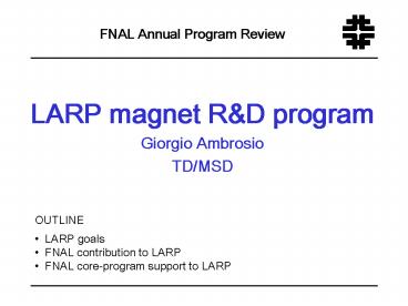 LARP magnet R