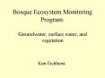 Bosque Ecosystem Monitoring Program: Groundwater, surface water, and vegetation PowerPoint PPT Presentation