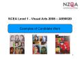 NCEA Level 1 Visual Arts 2008 AS90020 PowerPoint PPT Presentation