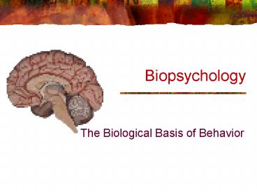 Biopsychology