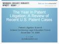 The Year in Patent Litigation: A Review of Recent U.S. Patent Cases PowerPoint PPT Presentation