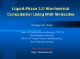 LiquidPhase 3D Biochemical Computation Using DNA Molecules PowerPoint PPT Presentation