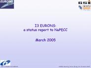 I3 EURONS: a status report to NuPECC