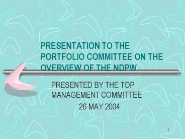 PRESENTATION TO THE PORTFOLIO COMMITTEE ON THE OVERVIEW OF THE NDPW