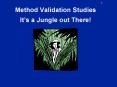 Method Validation Studies It PowerPoint PPT Presentation