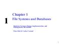 File Systems and Databases PowerPoint PPT Presentation