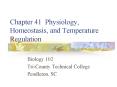 Chapter 41 Physiology, Homeostasis, and Temperature Regulation PowerPoint PPT Presentation