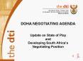 DOHA NEGOTIATING AGENDA Update on State of Play and Developing South Africas Negotiating Position PowerPoint PPT Presentation