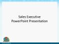 Sales Executive PowerPoint Presentation