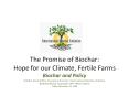 The Promise of Biochar: Hope for our Climate, Fertile Farms PowerPoint PPT Presentation