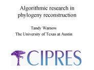Algorithmic research in phylogeny reconstruction