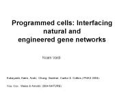 Programmed cells: Interfacing natural and engineered gene networks