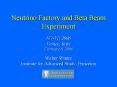 Neutrino Factory and Beta Beam Experiment PowerPoint PPT Presentation