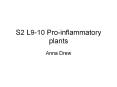 S2%20L9-10%20Pro-inflammatory%20plants PowerPoint PPT Presentation