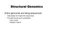 Structural Genomics PowerPoint PPT Presentation