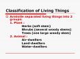 Classification of Living Things PowerPoint PPT Presentation