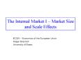 The Internal Market I Market Size and Scale Effects PowerPoint PPT Presentation