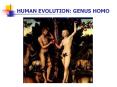 HUMAN EVOLUTION: GENUS HOMO PowerPoint PPT Presentation