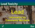 Lead PowerPoint PPT Presentation