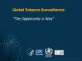 Global Tobacco Surveillance: The Opportunity is Now PowerPoint PPT Presentation
