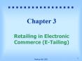 Chapter 3 Retailing in Electronic Commerce ETailing PowerPoint PPT Presentation