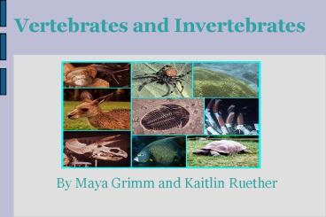 presentation player overlay