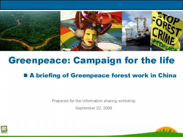 Greenpeace: Campaign for the life