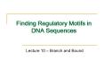 Finding Regulatory Motifs in DNA Sequences PowerPoint PPT Presentation