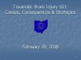 Traumatic Brain Injury 101: Causes, Consequences PowerPoint PPT Presentation