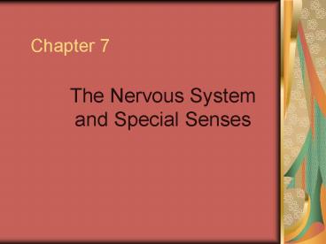 The Nervous System and Special Senses