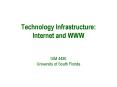 Technology Infrastructure: Internet and WWW ISM 4480 University of South Florida PowerPoint PPT Presentation