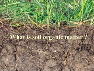 What is soil organic matter