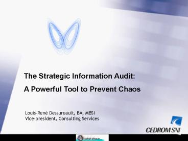 The Strategic Information Audit:
