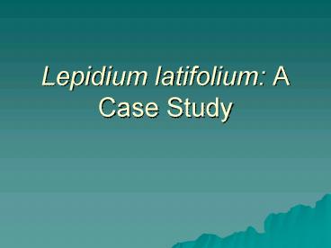 Lepidium latifolium: A Case Study