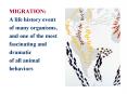 MIGRATION: A life history event of many organisms, and one of the most fascinating and dramatic of a PowerPoint PPT Presentation