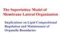 The Superlattice Model of Membrane Lateral Organization Implications on Lipid Compositional Regulati PowerPoint PPT Presentation