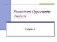 Promotions Opportunity Analysis PowerPoint PPT Presentation
