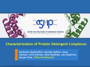 Characterization of Protein Detergent Complexes